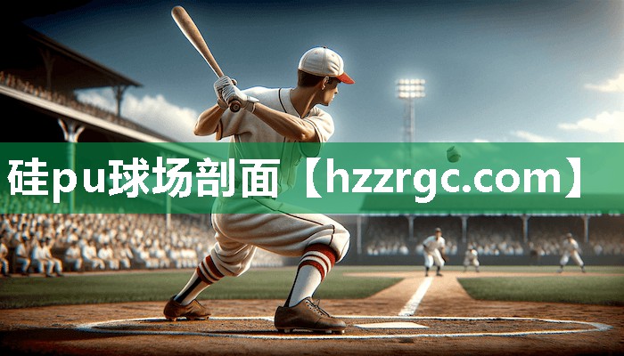 硅pu球场剖面 硅pu球场剖面