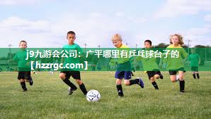 广平哪里有乒乓球台子的 广平哪里有乒乓球台子的