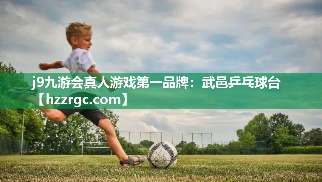 武邑乒乓球台 武邑乒乓球台