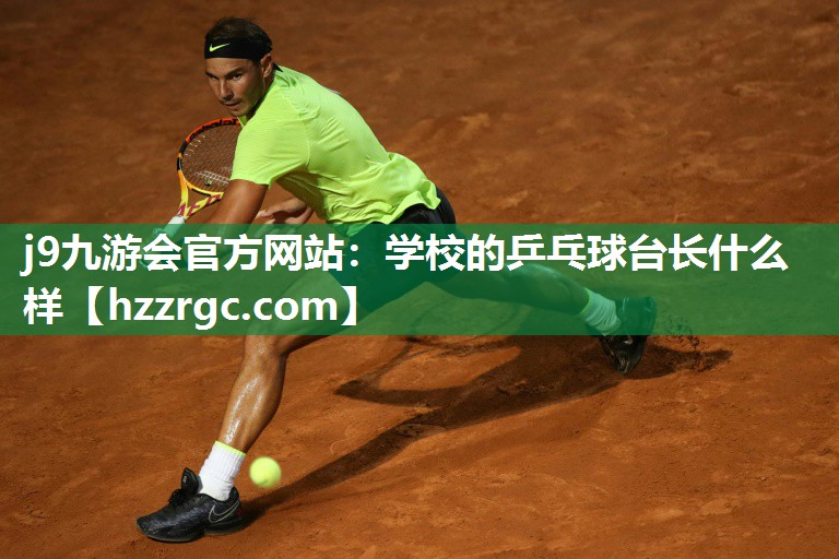 学校的乒乓球台长什么样 学校的乒乓球台长什么样
