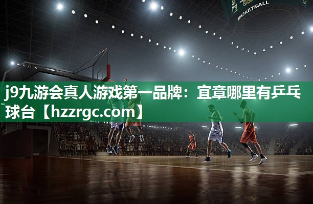 宜章哪里有乒乓球台 宜章哪里有乒乓球台