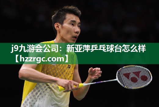 新亚萍乒乓球台怎么样 新亚萍乒乓球台怎么样