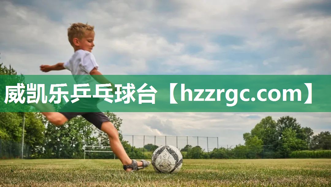 威凯乐乒乓球台 威凯乐乒乓球台