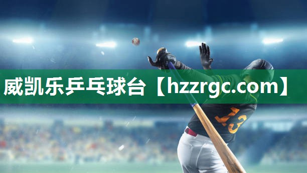 威凯乐乒乓球台 威凯乐乒乓球台