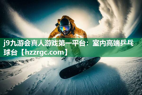 室内高端乒乓球台 室内高端乒乓球台