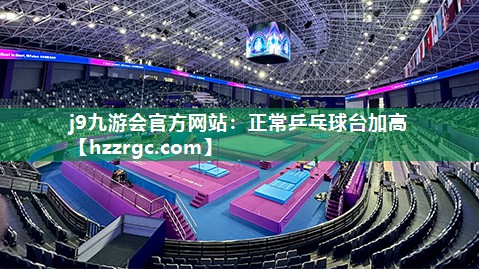 正常乒乓球台加高
